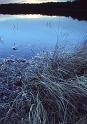Fall 1990 MN Lake